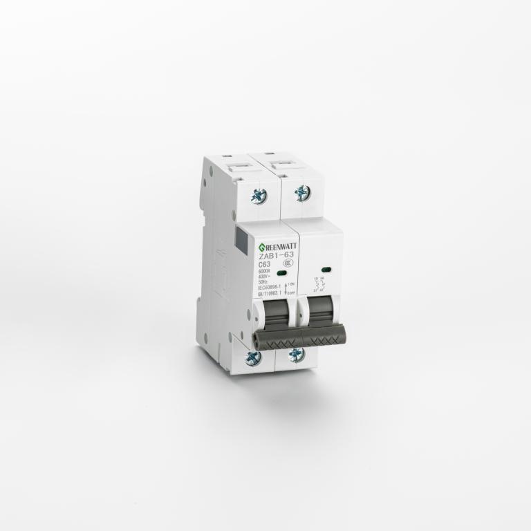 AC Circuit Breaker Curve C 10A 2P 6kA AC Circuit Breaker Curve C 10A 2P 6kA