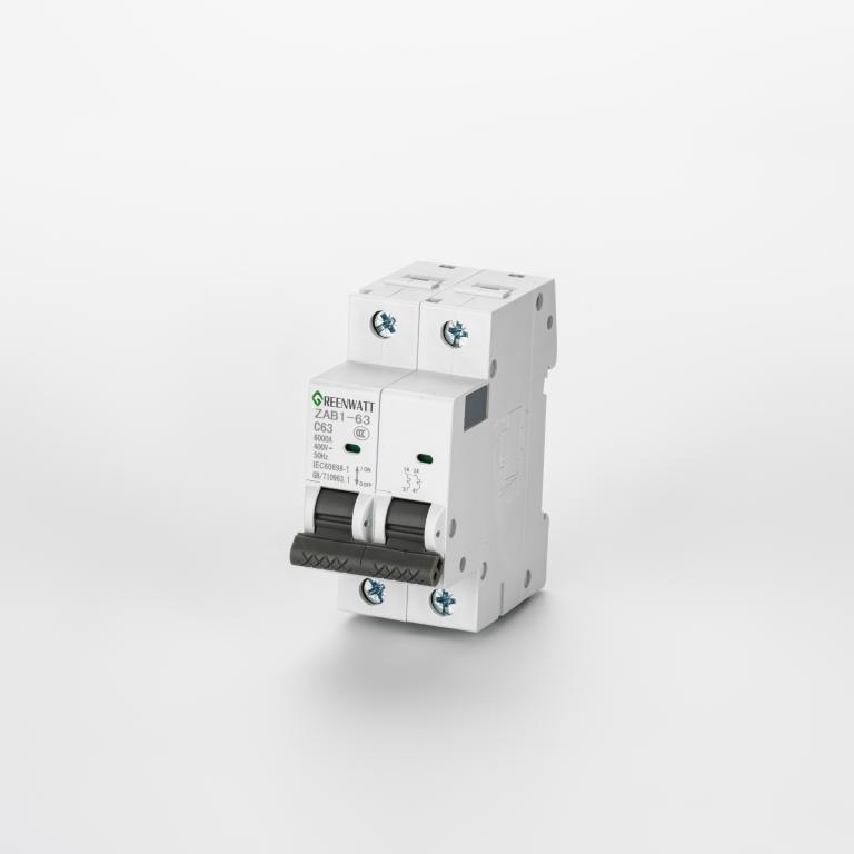 AC Circuit Breaker Curve C 40A 2P 6kA AC Circuit Breaker Curve C 40A 2P 6kA